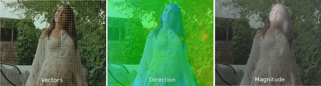Three different ways of viewing optical flow